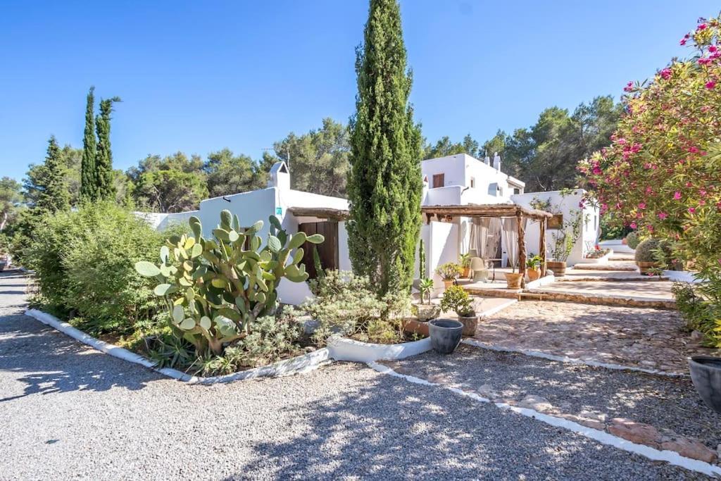 Casa Rosada - Gorgeous Family Finca Near Santa Gertrudis Villa Santa Gertrudis  Buitenkant foto